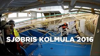 Sjøbris  kolmula 2016 Blue Whiting fishing in the Atlantic ocean [upl. by Jefferey]