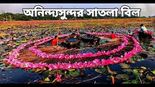 সাতলার শাপলায় মুগ্ধ না হয়ে উপায় নেই 🌸। satla bil wazirpur Sapla bil [upl. by Diva]