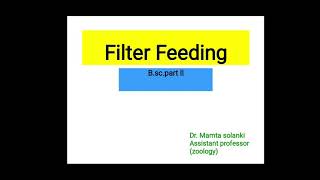 Filter feeding in Unio [upl. by Keefe]