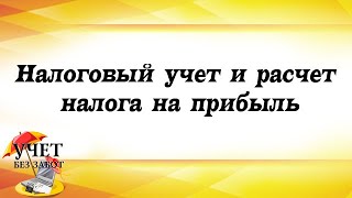 Фрагмент видеокурса quotНалоговый учет и расчет налога на прибыль 2019quot [upl. by Nairrad]