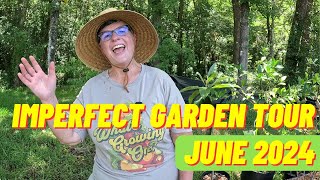 Imperfect Garden Tour  June 2024  Florida Zone 9B [upl. by Patnode891]