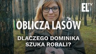 Dlaczego Dominika szuka robali  Oblicza lasów 7 [upl. by Eniretac]