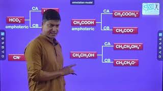 Ionic Equilibrium  Part 1  Acid Base Concept  NEET  JEE [upl. by Laurentium]