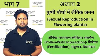 अध्याय 2 भाग 7 पुष्पी पौधों में लैंगिक जनन  जीव विज्ञान कक्षा 12  Sexual repro in flowering plant [upl. by Fancy827]