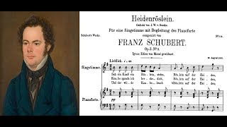 Franz Schubert  Heidenröslein Sheet music and lyrics [upl. by Zigmund383]