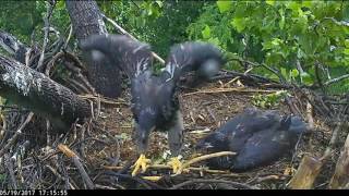 AEF DC EAGLE CAM 51917 Dancing in the Rain [upl. by Eelrac810]