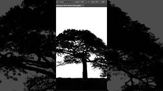 Como Recortar Arvores no Photoshop shorts [upl. by Anined]