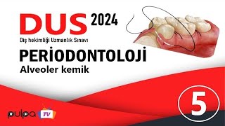 DUS KONU VİDEOLARI  PERİODONTOLOJİ  Alveoler kemik [upl. by Lenno604]