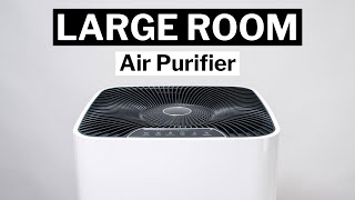 The Best Large Room Air Purifier the best large air purifier v2 [upl. by Aenit]