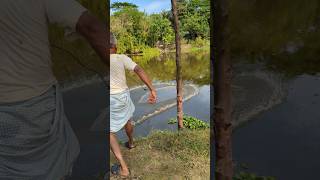 Amazing Fishing Skills🤯😱  shorts fishingvideo [upl. by Tate766]