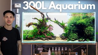 Bepflanzung vom ADA 120P Nature Aquarium [upl. by Rogerson734]