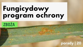 Fungicydowy program ochrony zbóż [upl. by Drofyar]