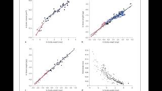 The Allometry of brain miniaturization in ants [upl. by Lechar776]