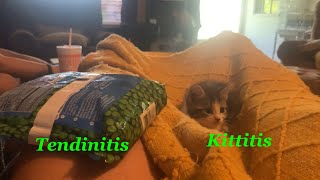 Tendinitis and kittitis [upl. by Katee]