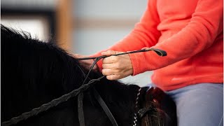 A Simple Exercise to Improve Steering While Riding and prevent your horse from leaning in [upl. by Ojok]