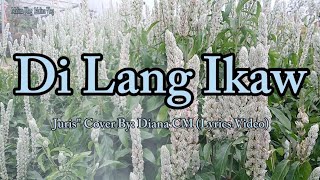 Di Lang Ikaw  Juris quot Cover By Diana CM Lyrics Video [upl. by Nevet444]