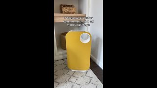 An Air Purifier to Match All Moods [upl. by Terrijo]