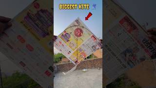 MAKE A BIGGEST KITE Patang 😍 shorts pkcrazyexperiments [upl. by Ilamad916]