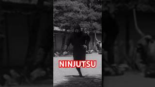 How To Do NINJUTSU Caltrops Techniques from TOGAKURE RYU 💥 Shorts Ninjutsu MartialArts [upl. by Ellenej]