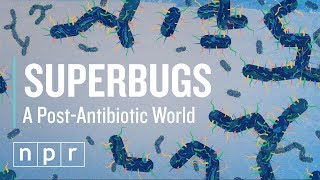 How Superbugs Could Mean The End Of Antibiotics  Lets Talk  NPR [upl. by Asiram]