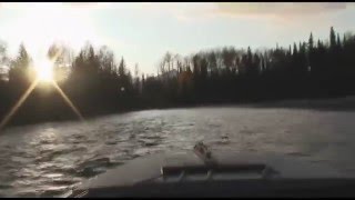 Fly Fishing for Sustut River Steelhead  Part 2 [upl. by Baxter]