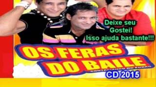 Os Feras Do Baile 2015Fulerar Comigo [upl. by Tamberg]