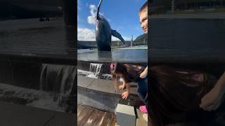 downtown juneau Alaska shorts adventure fyp summer [upl. by Flannery405]