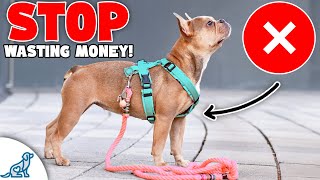 Dont Waste Your Money On These 9 quotDog Training Toolsquot [upl. by Ardehs589]