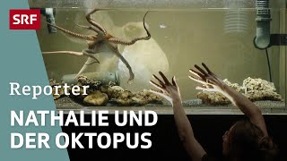 Tanz der Tintenfische – Ein Krake auf der Theaterbühne  Reportage  SRF [upl. by Cyndie514]