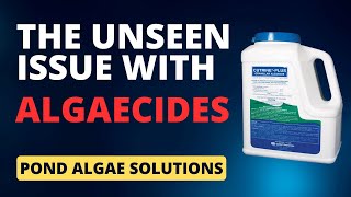 The Dark Side of Pond Algaecides  What You Should Know Before Using One [upl. by Fidelity901]