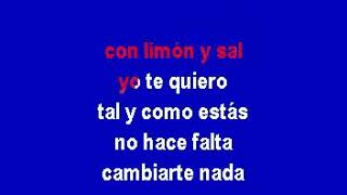 Julieta Venegas  Limón Y Sal Instrumental Karaoke [upl. by Avon383]