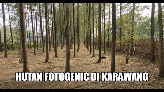 Instagramable  HUTAN KERTAS Karawang [upl. by Alphonso]