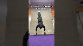 Day 14 learning the Lsit to handstand [upl. by Lenra]