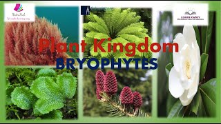 quotBRYOPHYTESquot Class 11 Biology PLANT KINGDOM [upl. by Anek]