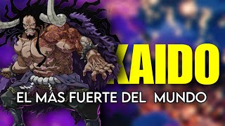 KAIDO El pirata mas PODEROSO del MUNDO 💀 Historia y Análisis de Personaje [upl. by Cristina]