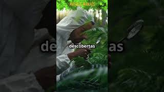 Descubra os Recursos Naturais da Amazônia recursosnaturaisdaamazônia cosméticosnaturaisdamazônia [upl. by Meade]