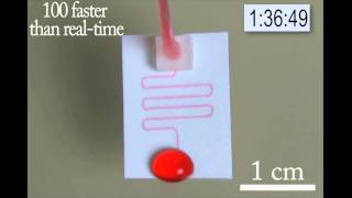 Paper Microfluidic Device running for 3h [upl. by Rhianon]