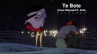 Te Bote  Conor Maynard ft Anth Extended [upl. by Dolli49]