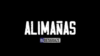 El Desguaze  Alimañas Videoclip Oficial [upl. by Aiuqal]