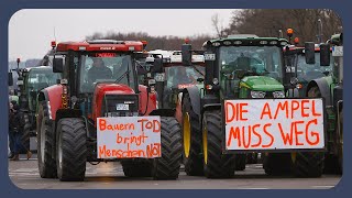 Deshalb protestieren Bauern und andere gerade [upl. by Bruyn]