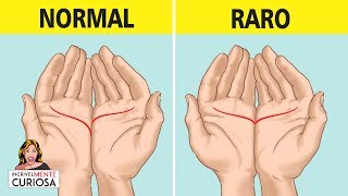 O QUE AS LINHAS DAS PALMAS DAS MÃOS PODEM SIGNIFICAR  IncrivelMente Curiosa [upl. by Irret862]