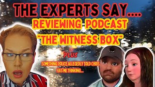 The Experts Say Reviewing Thelab quotThe Witness Boxquot Podcast Sebastian Rogers [upl. by Bevers]