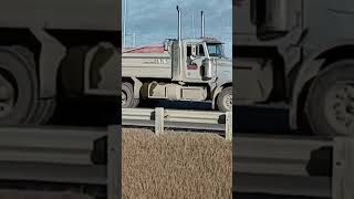 Peterbilt 378 with a mini loud thingy [upl. by Zhang]