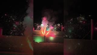 Peacock 🦚 firecracker 🧨 Beautiful 🤩 2024 Firecracker Testing fireworks firecracker [upl. by Ocin]