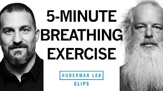 5Minute Breathing Exercise  Meditation for Improving HRV  Rick Rubin amp Dr Andrew Huberman [upl. by Aryahay967]