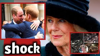 Royal Revenge Harry and William Expose Camillas Role in Diana’s Tragic Endquot [upl. by Eicnahc830]