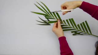 Ikebana Tips by Junko 16 more fun modifying leaves [upl. by Sharp]