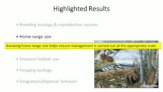 Key Considerations for Managing the Clarks NutcrackerWhitebark Pine Mutualism [upl. by Holmen333]