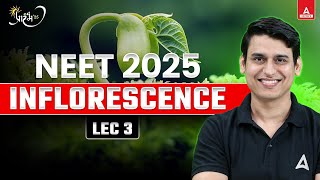 INFLORESCENCE  MORPHOLOGY OF FLOWERING PLANTS  CLASS 11  NEET 2025 PREPARATION  NEET BIOLOGY [upl. by Anyak151]