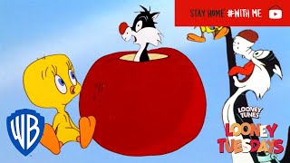 Looney Tuesdays  Iconic Duo Tweety and Sylvester  Looney Tunes  WB Kids [upl. by Cynara]